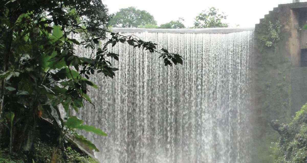 Sensunapán, Más allá de la energía limpia