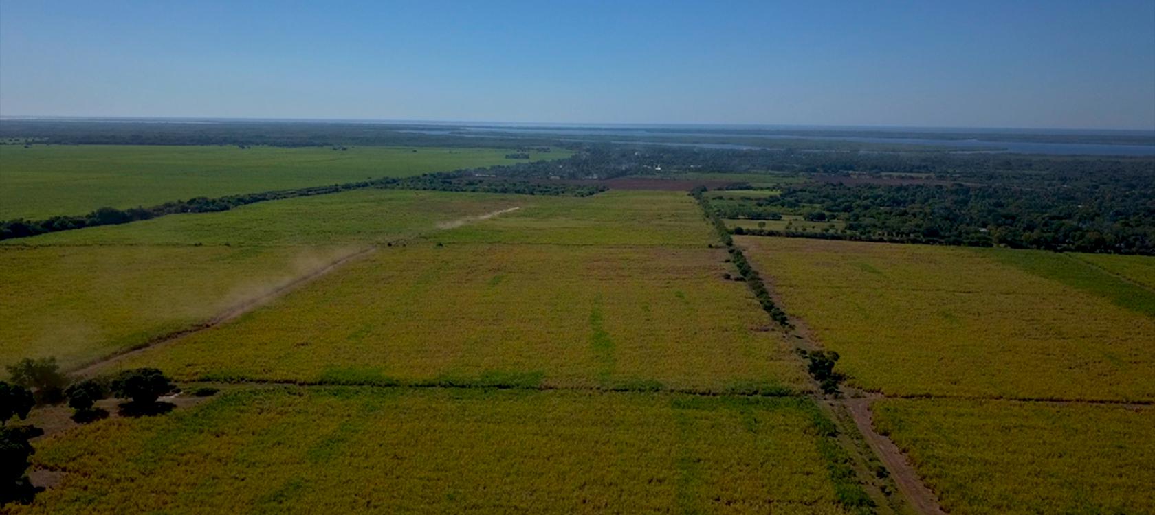 “El banco del clima”