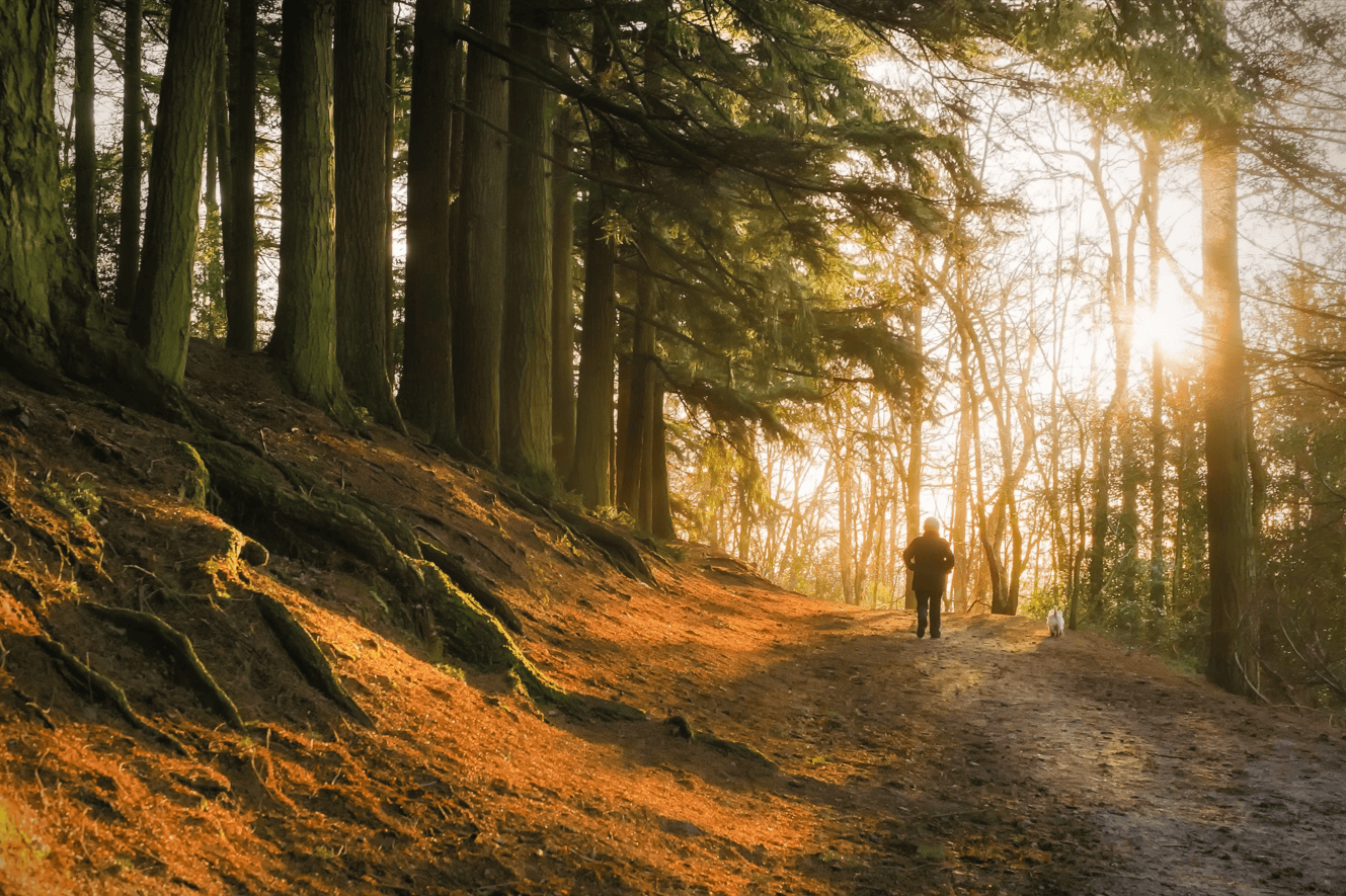 AstraZeneca avanza hacia un futuro sustentable y saludable en Latinoamérica