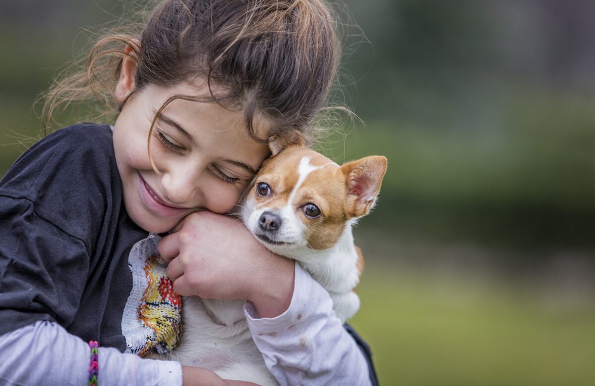 ¿Cuáles son las enfermedades más comunes que pueden ser transmitidas de animales a humanos?