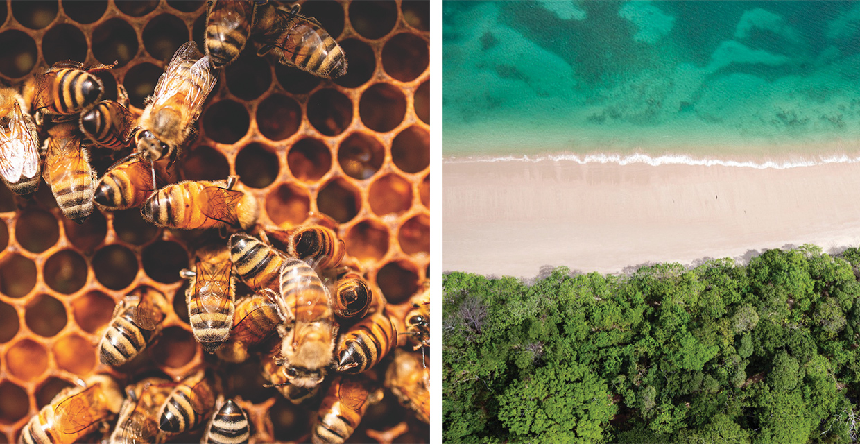 FIFCO, Sostenibilidad con una estrategia ambiental robusta