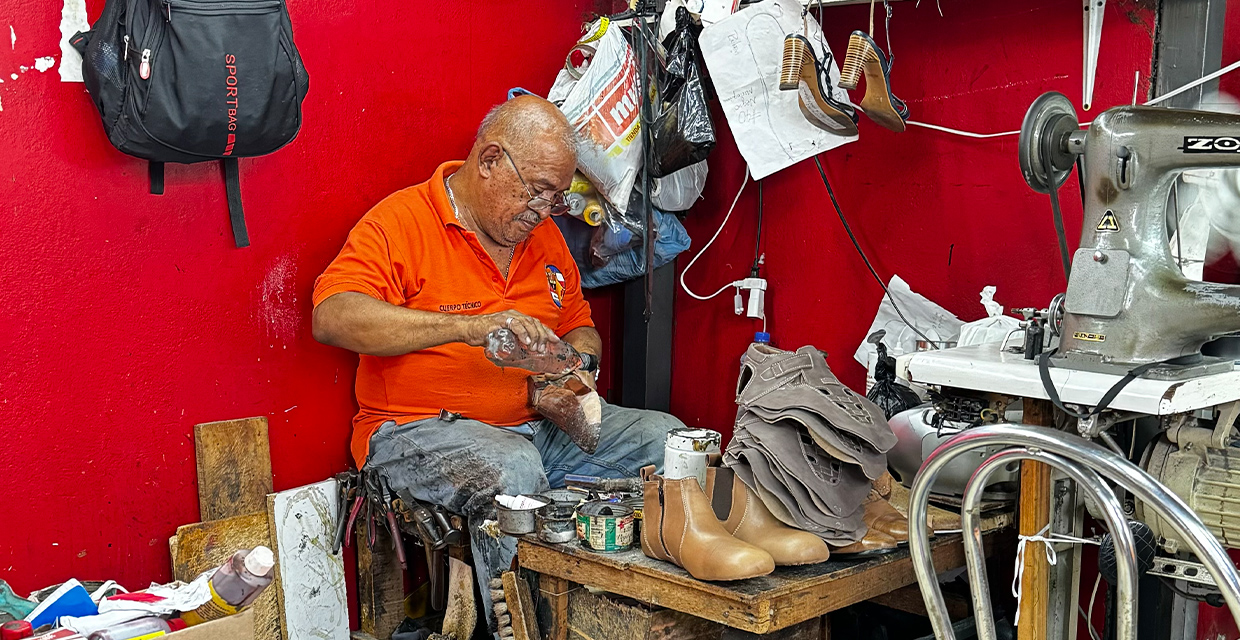 ecoins anuncia lanzamiento de nuevo directorio con 200 opciones de reparación de toda Centroamérica