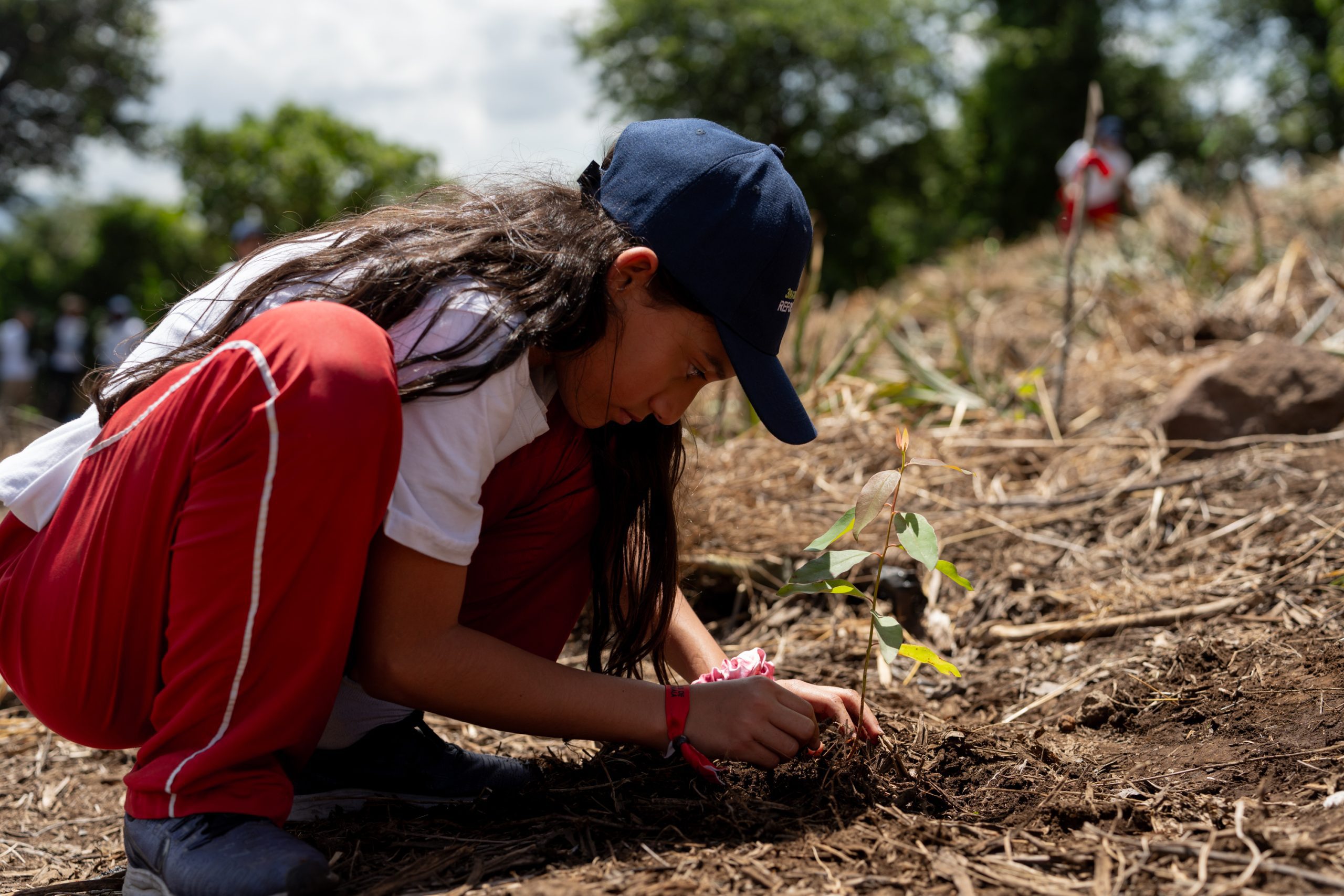 Licores de Guatemala realizó su jornada anual de reforestación