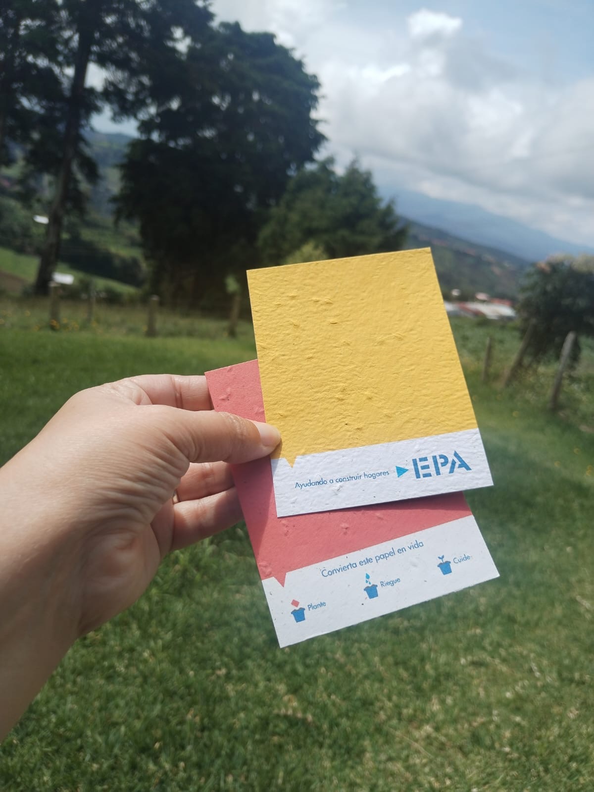 Promocional ecológico invita a apoyar a La Sele y a sembrar vida