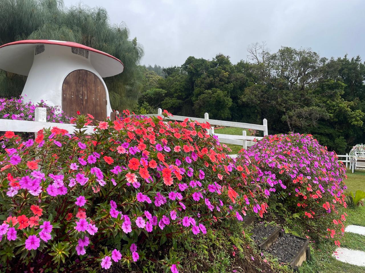 Costa Rica: Destinos emergentes de Región Norte cautivaron agencias internacionales y nacionales de turismo