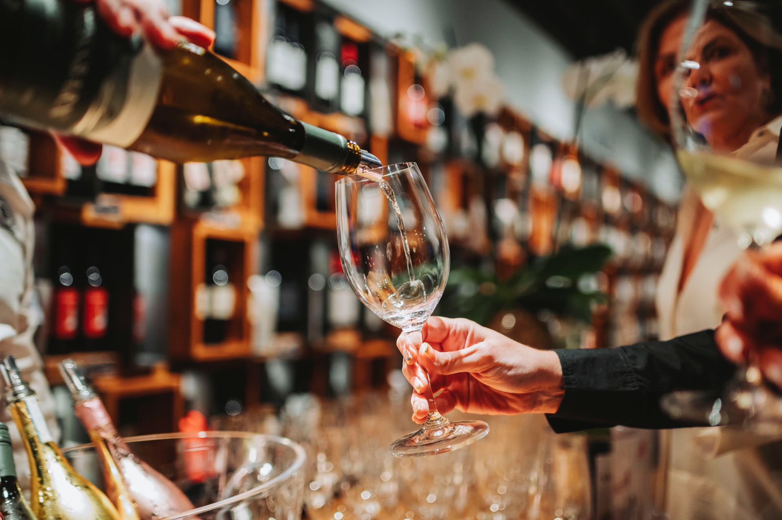 Bottega celebra 10 años brindando experiencias únicas