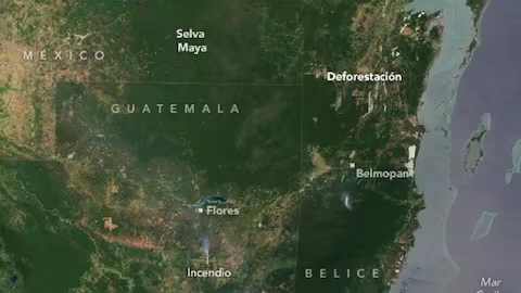 La Nasa pide dar atención a la reducción de la selva maya en Guatemala