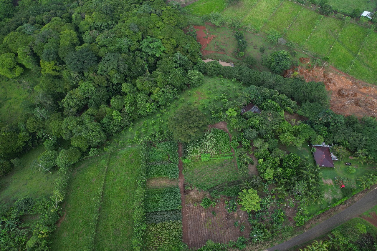 10 Familias de la comunidad Río Magdalena aprenden de prácticas para la conectividad biológica y adaptación al cambio de climático para cuidar el ambiente