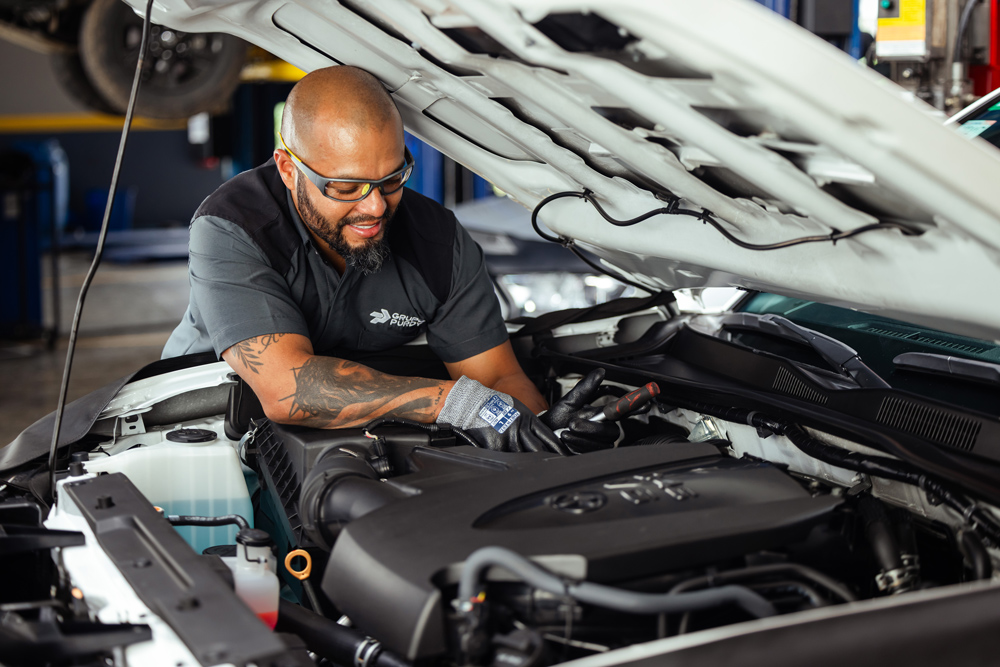 Grupo Purdy expande su cobertura en el este