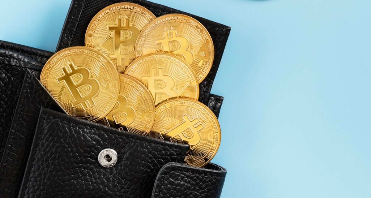 Criptomonedas en alza: cómo mantener una billetera a salvo