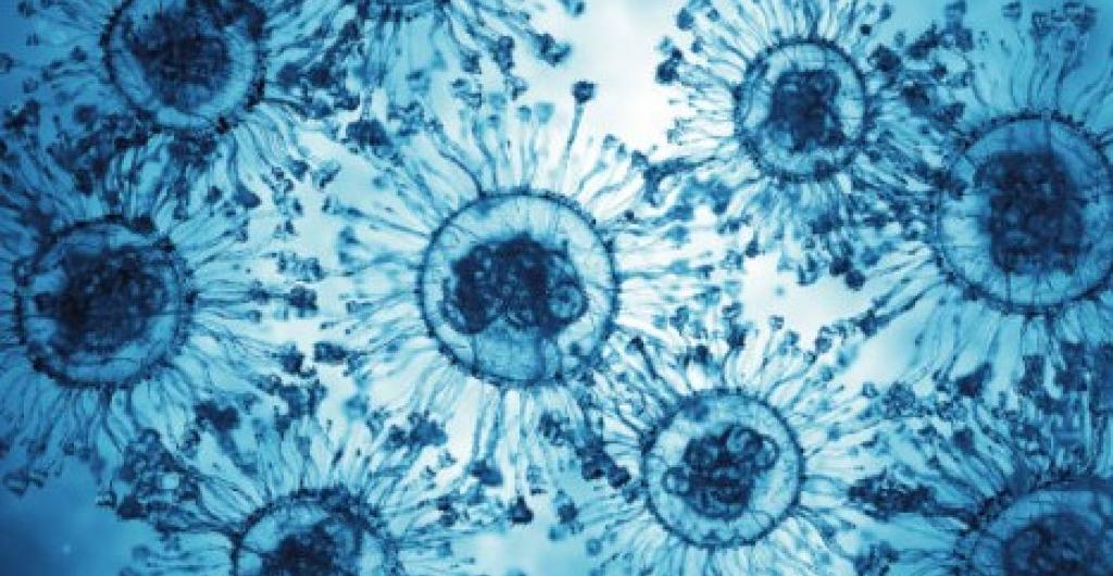 La inteligencia artificial diseña una nueva proteína mediante evolución simulada