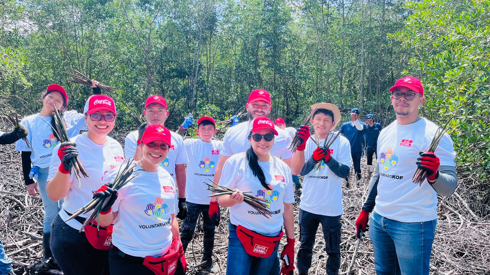 CDP reconoce los esfuerzos en gestión de la sostenibilidad de FEMSA y Coca-Cola FEMSA