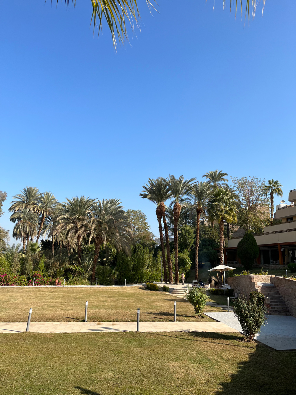 Inteligencia Artificial y nuevas experiencias en la industria hotelera