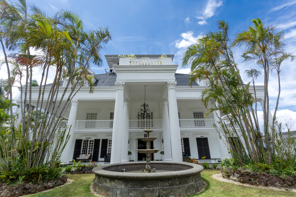 San Valentín: Una Experiencia Gastronómica Inolvidable