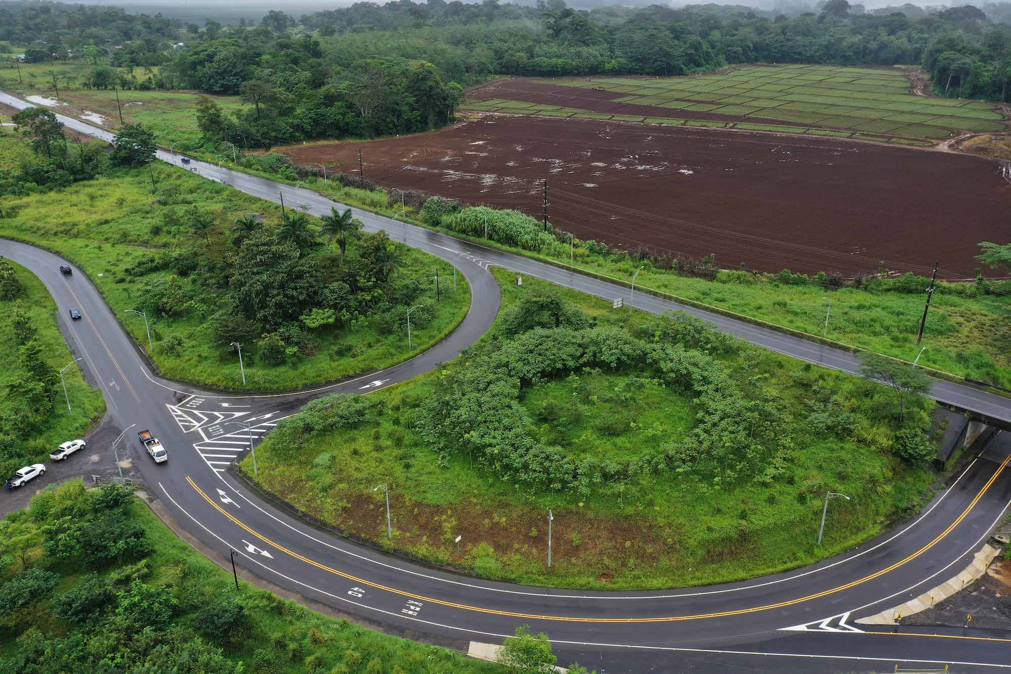 Iniciativa busca fondos para plantar miles de árboles en la zona central de Costa Rica
