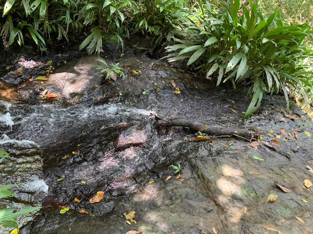 Coca-Cola FEMSA impulsa la gestión sostenible del agua con la certificación del estándar internacional “Alliance for Water Stewardship” AWS