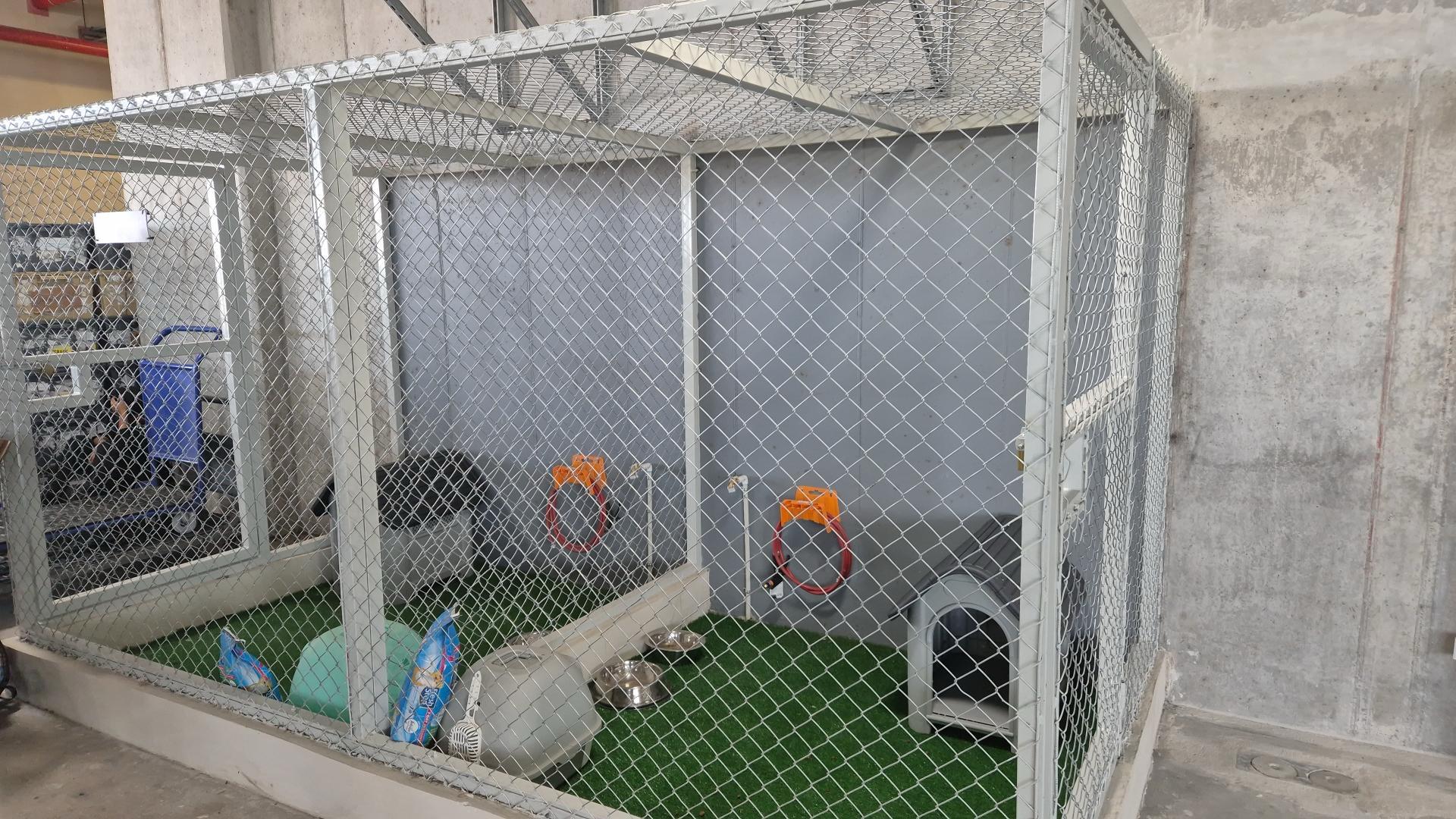 1625 perros vacacionaron en Guanacaste, Costa Rica, durante el 2024