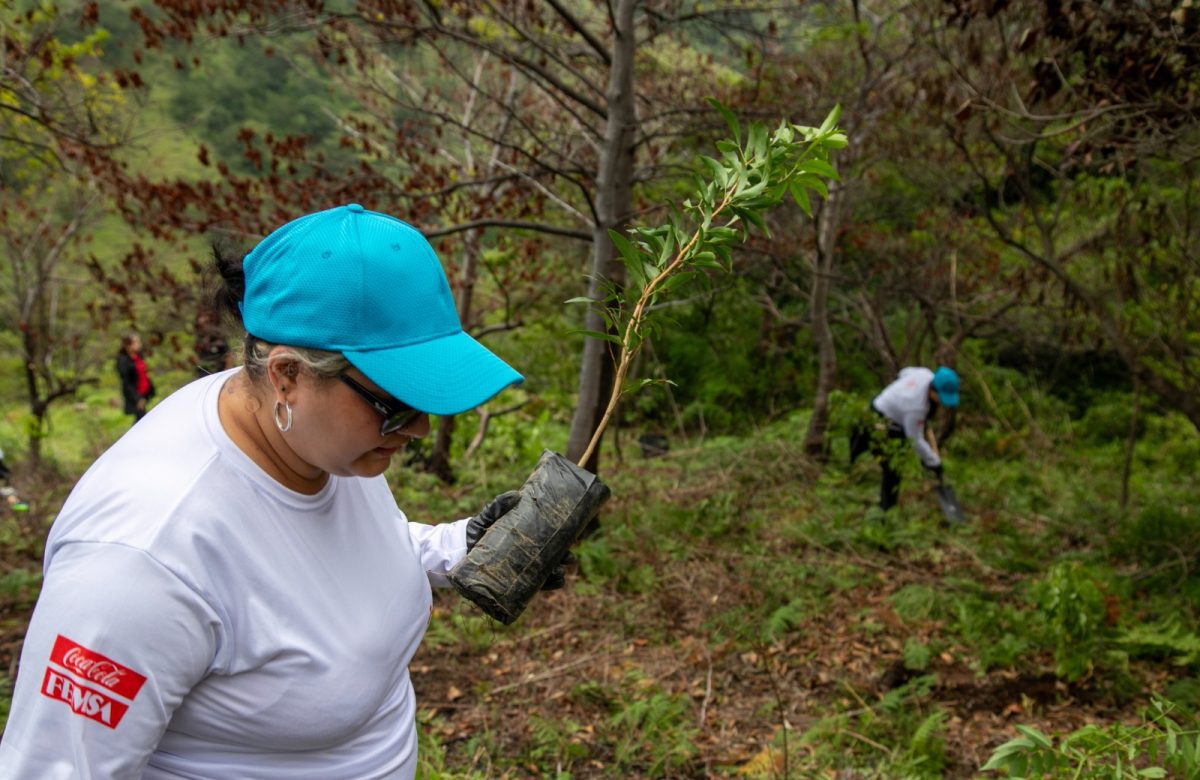 El Sistema Coca-Cola impulsa soluciones sostenibles con impacto real en comunidades y el ambiente