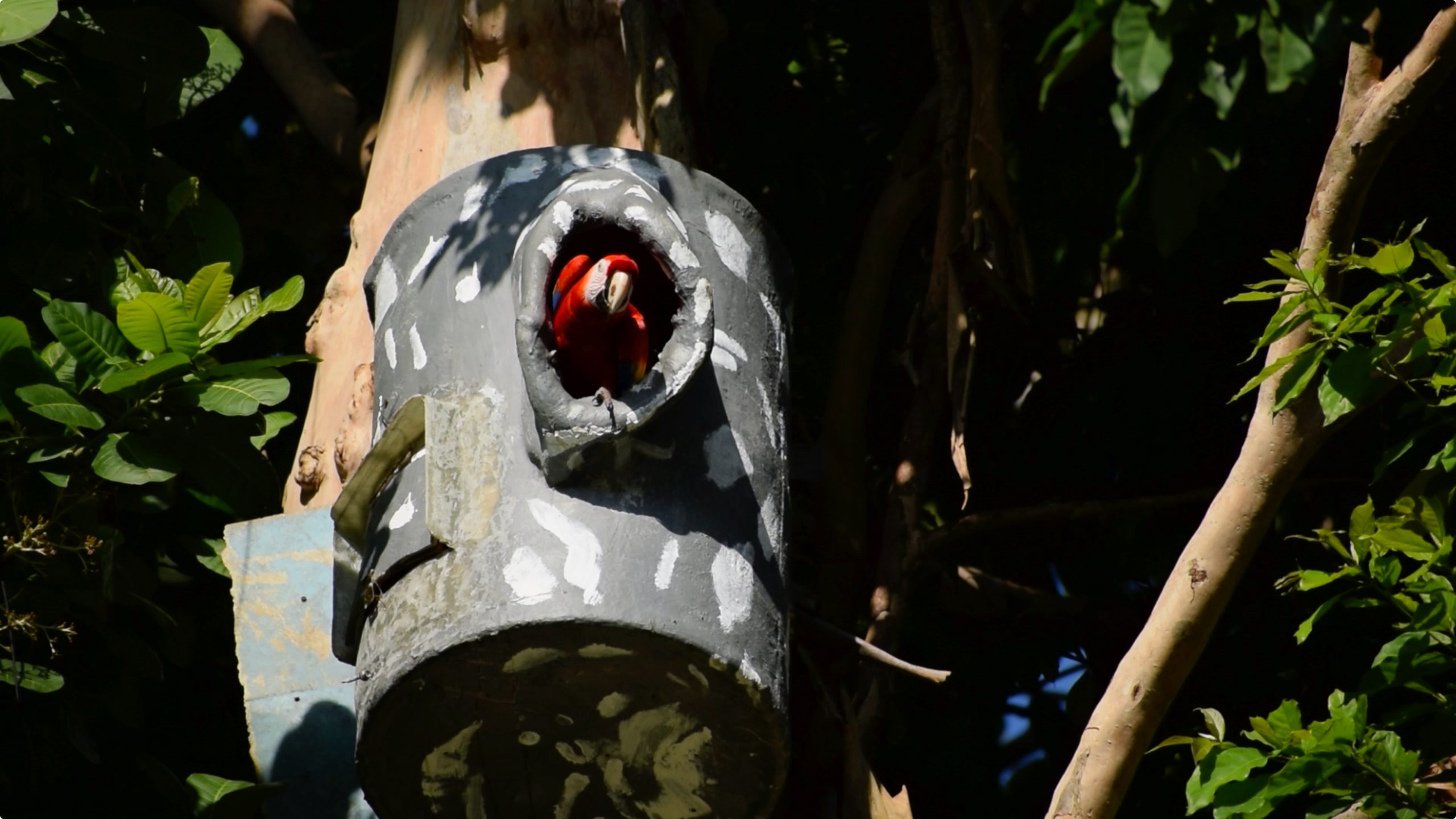 ¿Conoce el turismo regenerativo?