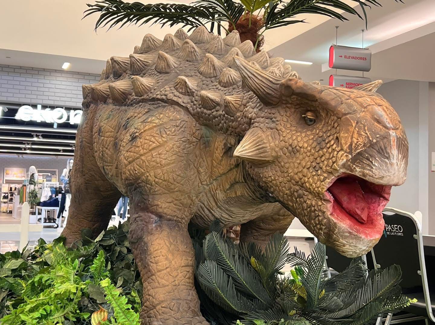 «Huellas del pasado»: dinosaurios invaden Heredia y lo convierten en una experiencia interactiva para descubrir, pintar y divertirse