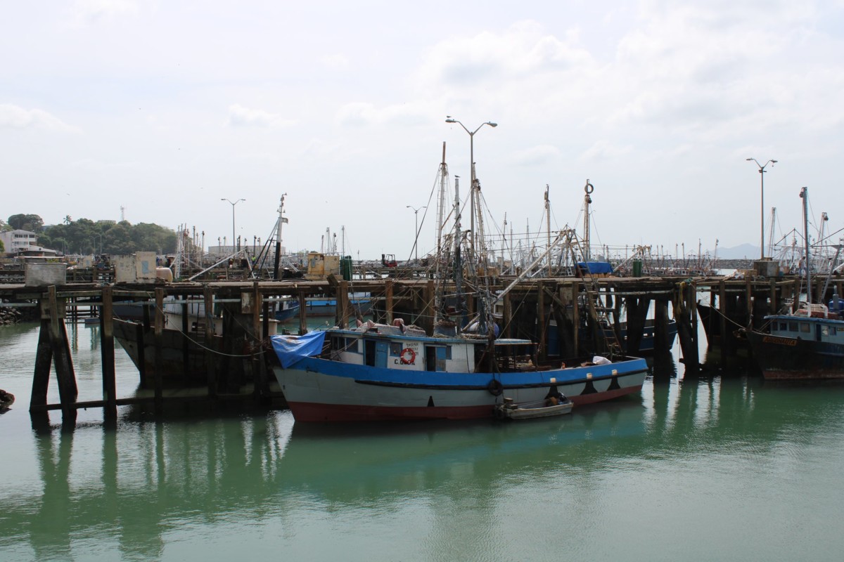 Analizan reactivar zona portuaria en Antón Panamá para impulsar la pesca y turismo