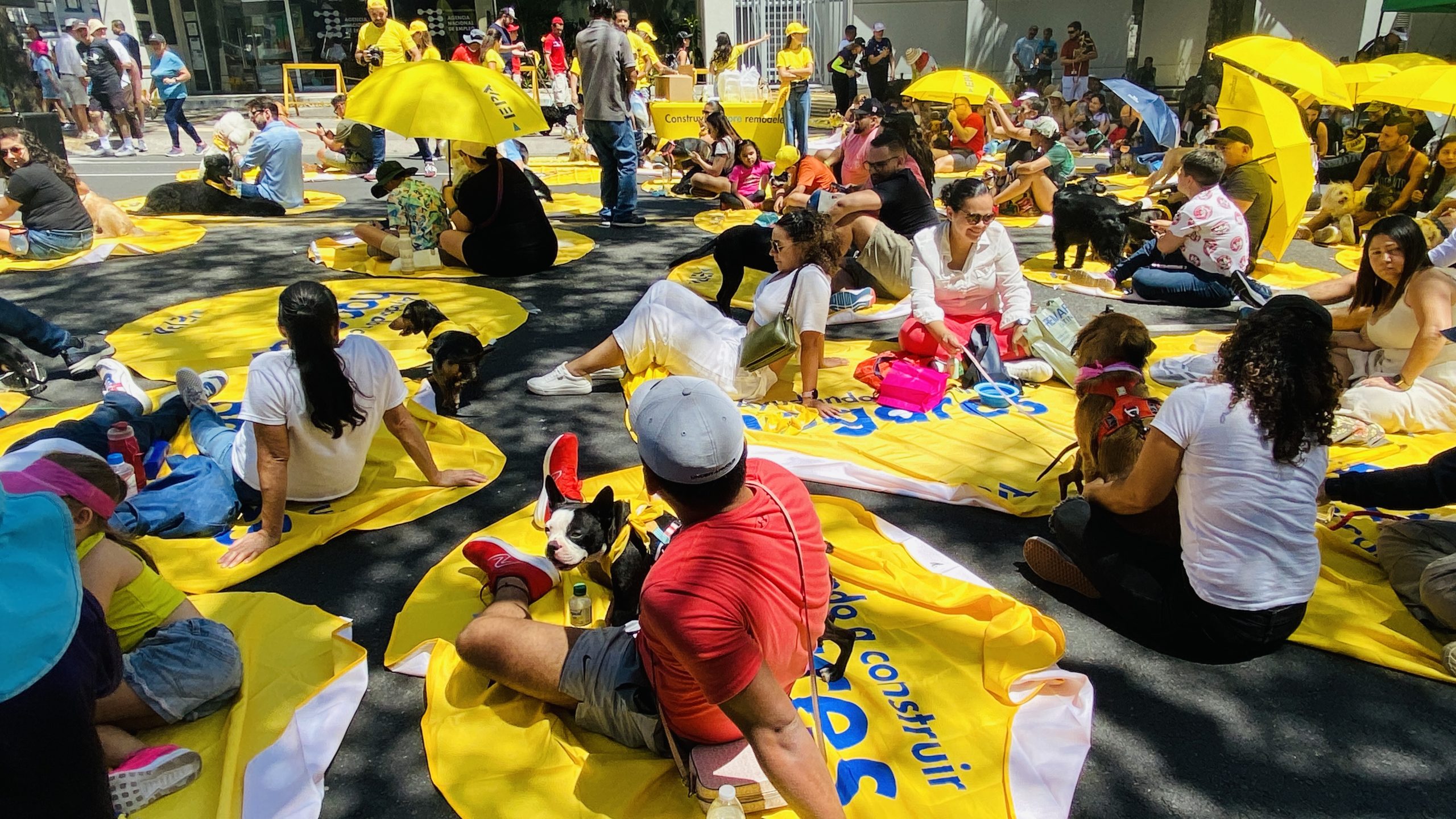 Concierto para Mascotas llega a la provincia de Cartago