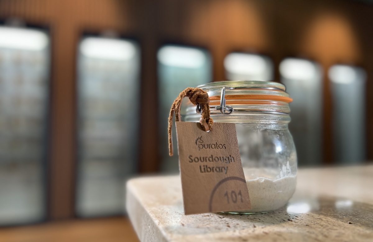 Del corazón de la fermentación al corazón del arte: Vitus, la masa madre de Puratos, llega al Louvre