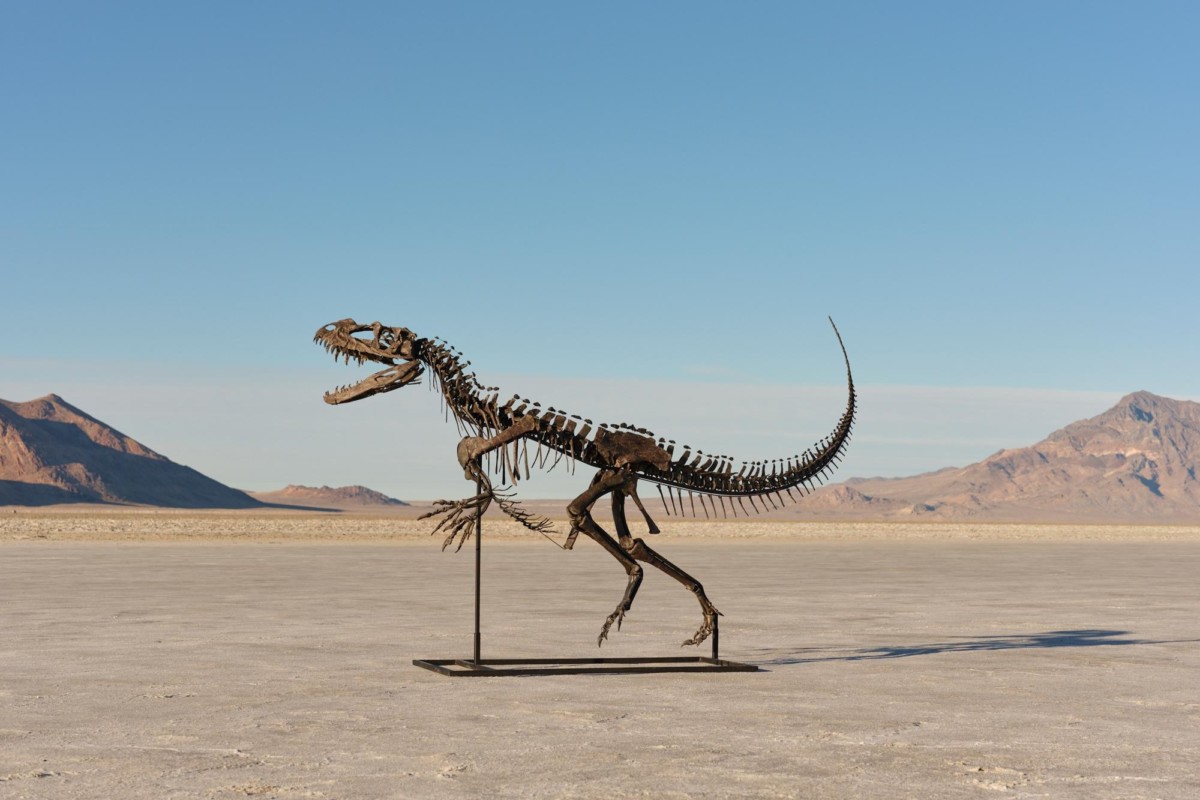 La casa de subastas Sotheby’s vende un fósil juvenil de dinosaurio por más de US$30 millones