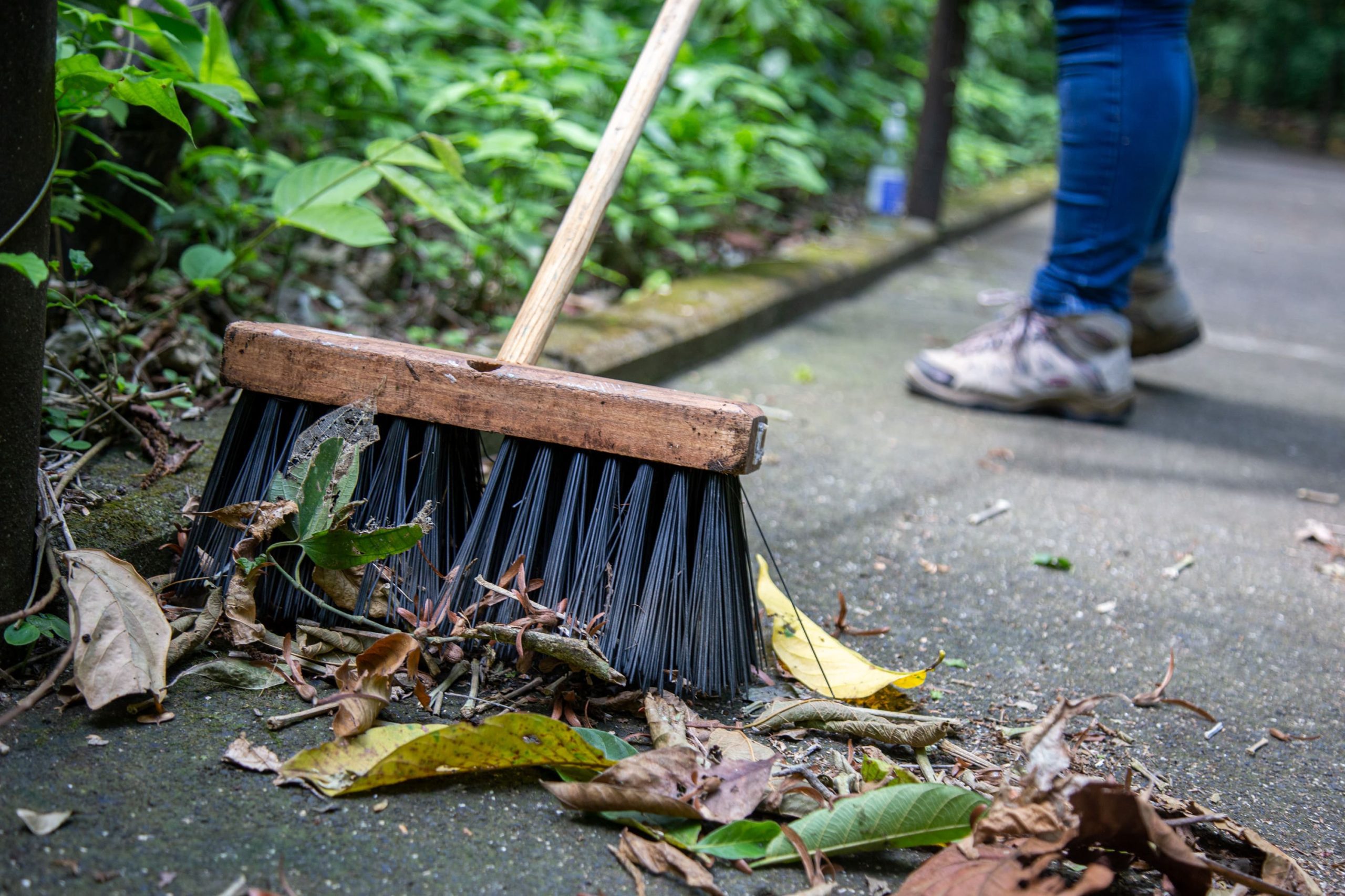Costa Rica: Parques Nacionales reciben apoyo con más de 2100 horas de voluntariado