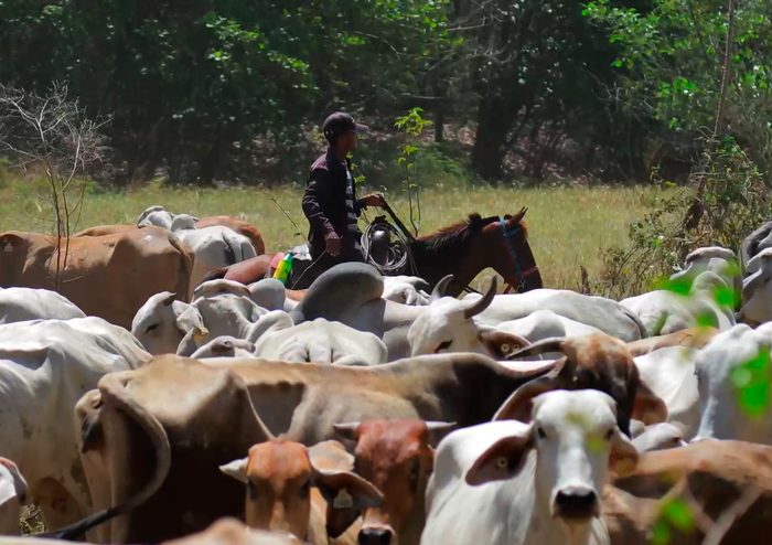 Proveedores locales, la base de una cadena de valor sostenible