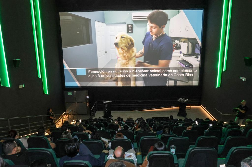 Nestlé ha impulsado a más de 35.000 jóvenes hacia la empleabilidad y el emprendimiento en Costa Rica