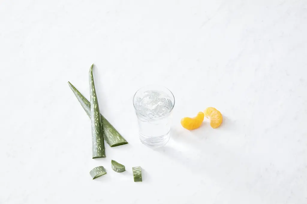 ¿Sabe cuáles son los verdaderos beneficios del Aloe vera?