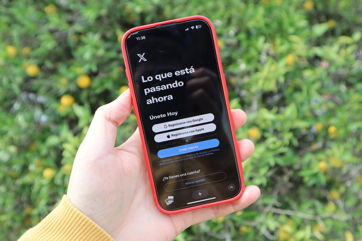 X encuentra nueva forma de monetizar su plataforma: vender nombres de cuentas inactivas
