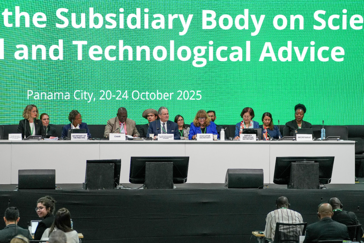 Más de 1000 expertos se reúnen Panamá en la Convención sobre Biodiversidad