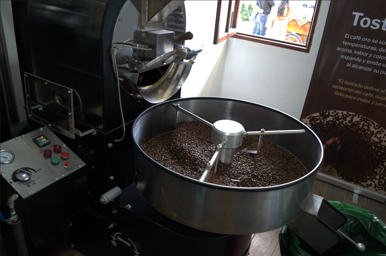 Guatemala: Nueva planta cafetalera busca posicionar el café de San Juan Sacatepéquez en mercados internacionales