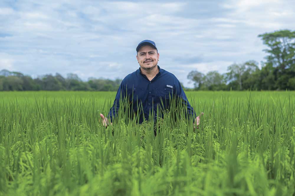 Banco Nacional de Costa Rica (BN), banca con propósito que transforma sueños en realidades