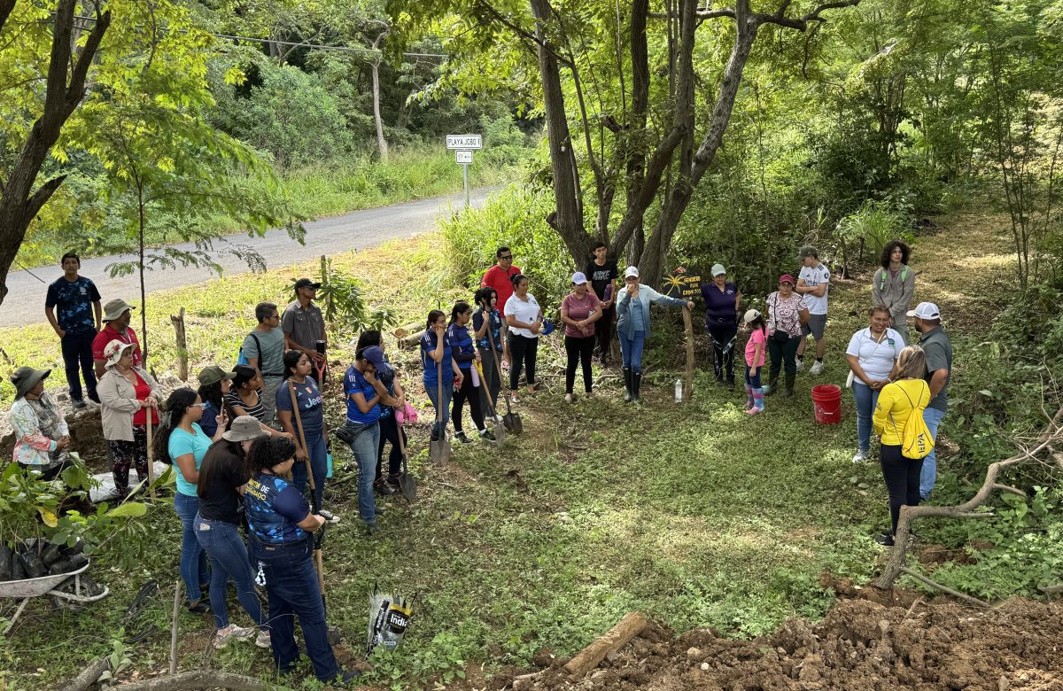 Costa Rica: Voluntarios siembran 300 árboles autóctonos en Playa El Jobo