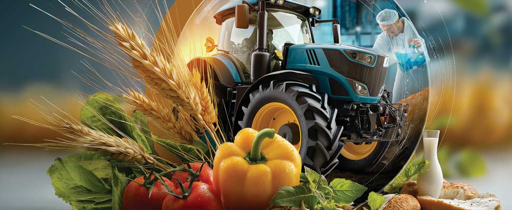 Industria alimentaria: motor económico y social de América Central