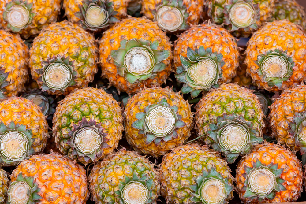 Agro costarricense muestra señales de transformación con mayor diversificación en su oferta exportadora