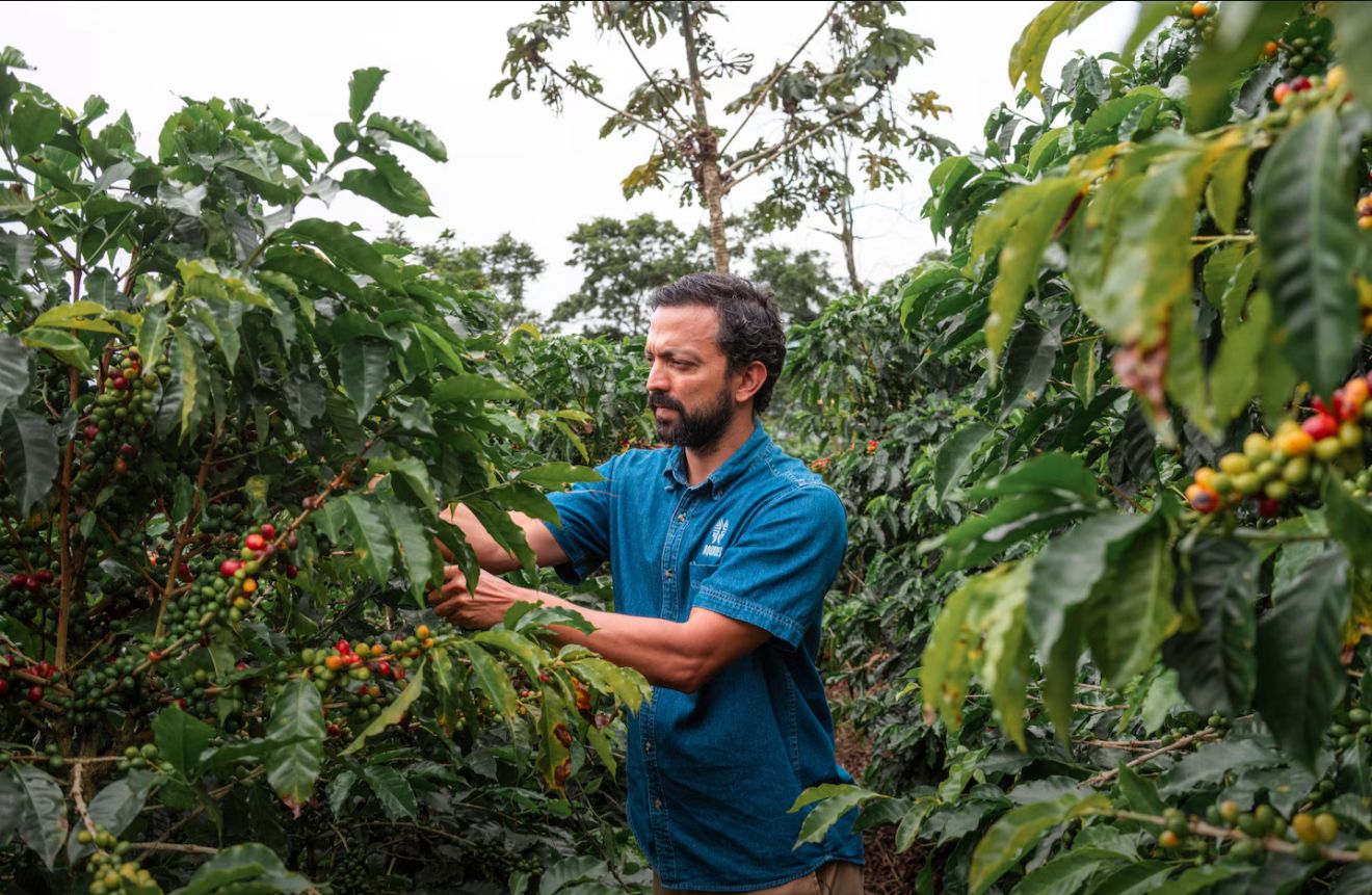 NatGeo posiciona globalmente a Costa Rica como destino turístico renovado y “Pura Vida” en el 2026