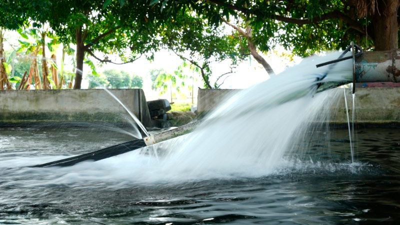 Sistema solar bidireccional en finca leonesa en Nicaragua