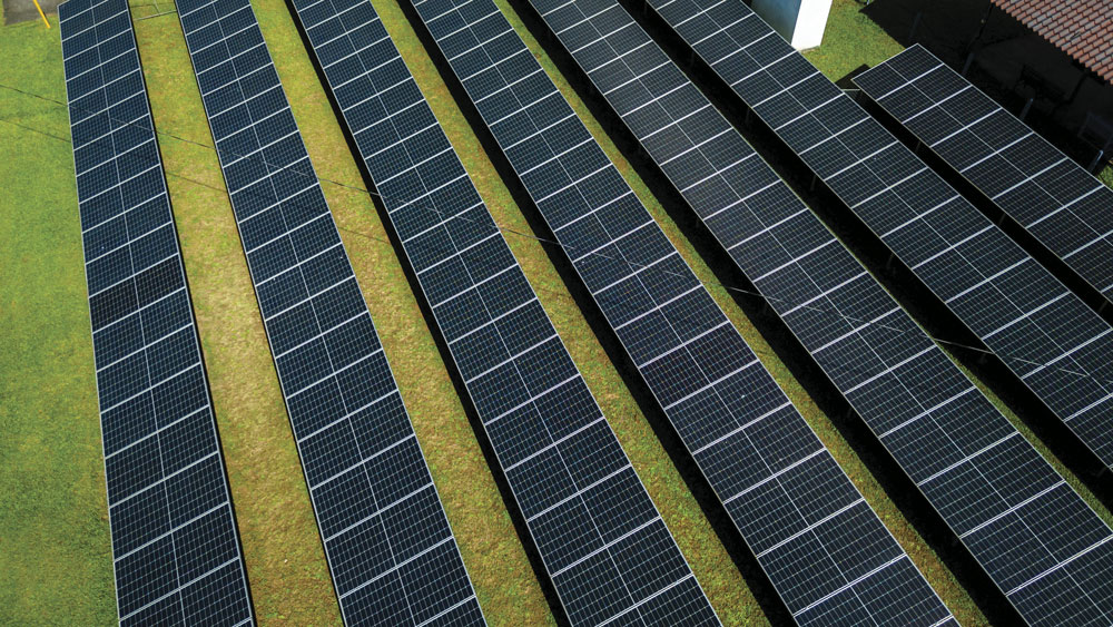 Centenario Internacional, una marca con propósito ambiental y social