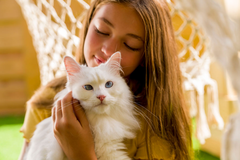 Año nuevo, salud nueva: la importancia de revisar, vacunar y desparasitar a las mascotas al iniciar el año