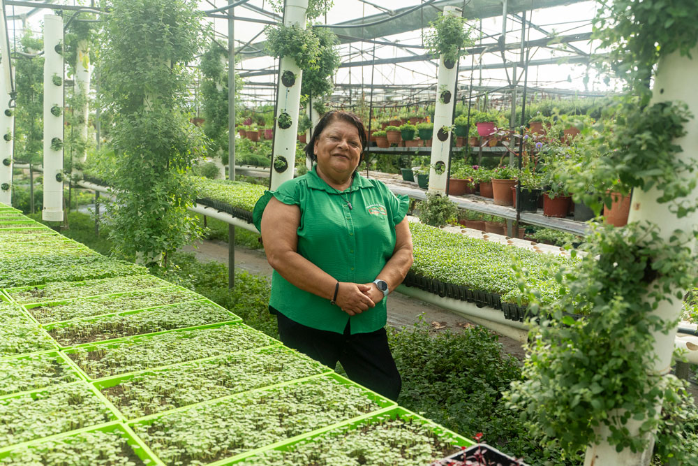 38 empresarias crean cerca de 230 nuevos empleos en 3 meses, tras cursar programa de formación y aceleración empresarial