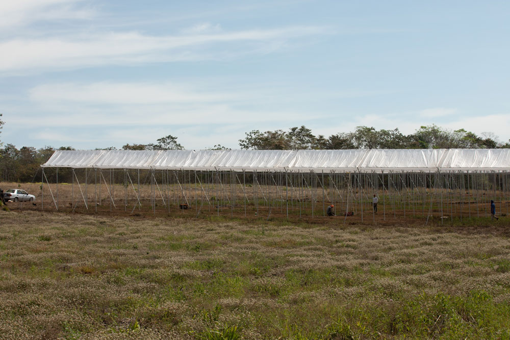 Programa Tierra Fértil de Walmart impulsa la innovación del agro costarricense