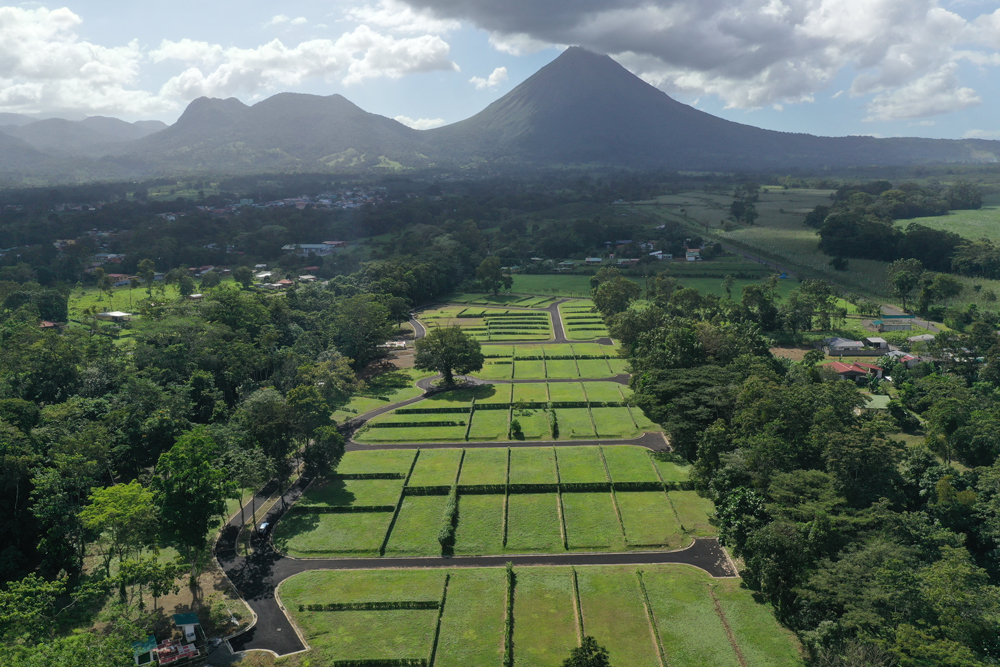 Guía de cómo convertir su propósito de año nuevo en una inversión real