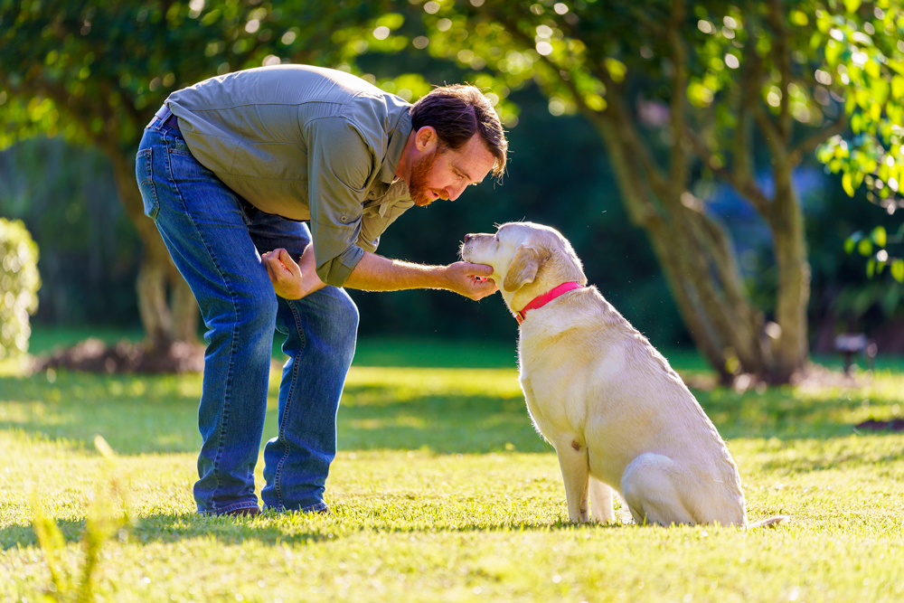 Cuidar la salud de su mascota a través de la desparasitación, y visitas al veterinario, es la mayor prueba de cariño