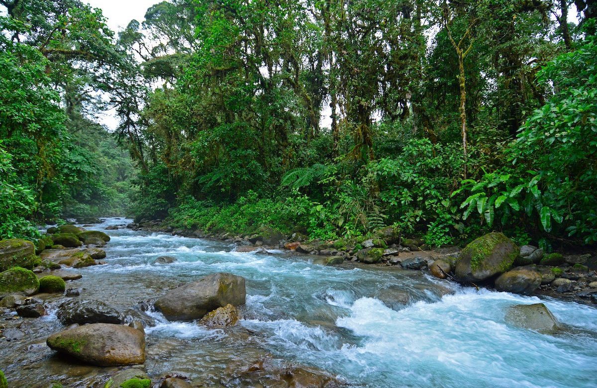 Universidad Castro Carazo apuesta por formar profesionales en entornos de aprendizaje conectados con la naturaleza