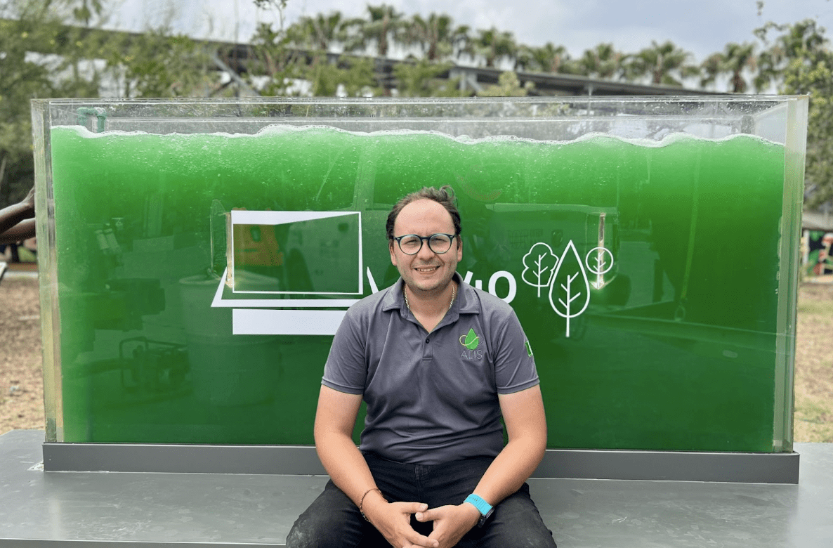 Conozca el sistema mexicano que limpia el agua un 95% más rápido y captura CO2 mejor que los árboles