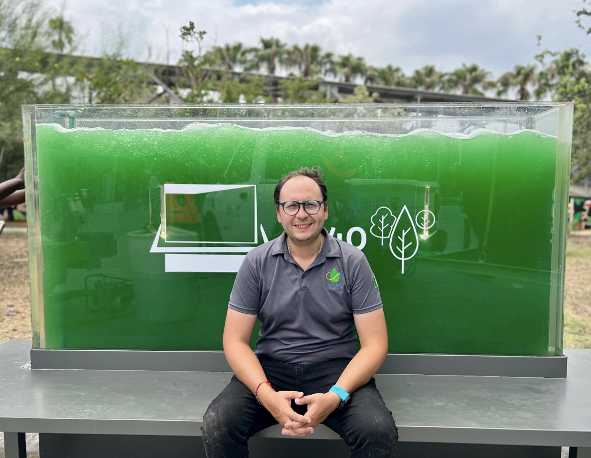 Conozca el sistema mexicano que limpia el agua un 95% más rápido y captura CO2 mejor que los árboles